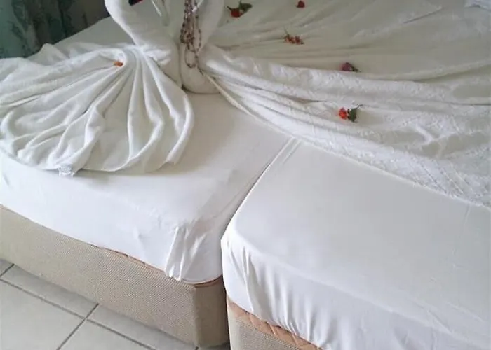 セン マルマリス