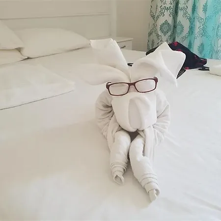 Otel Sen *